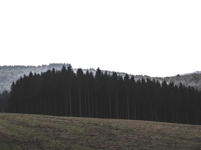 Gallery image 7